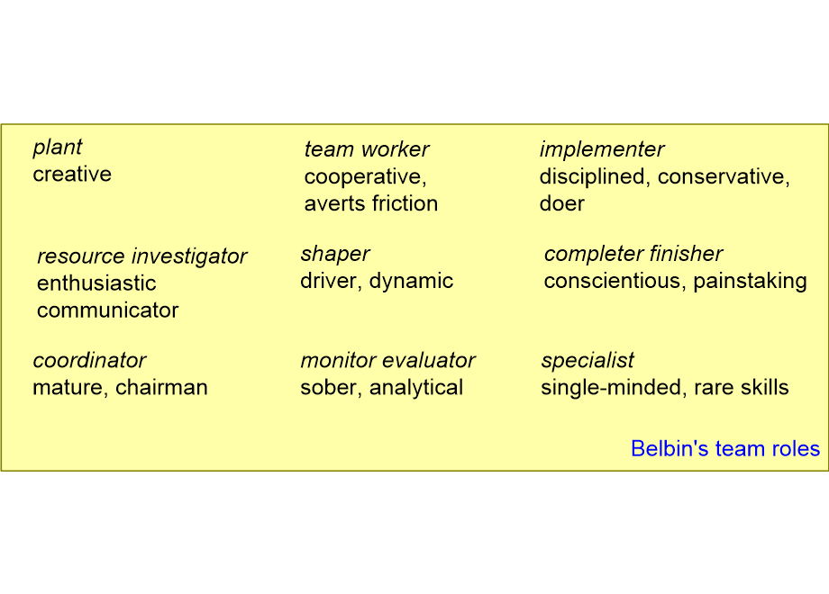 HSTWbelbinRoles.fullsize.gif