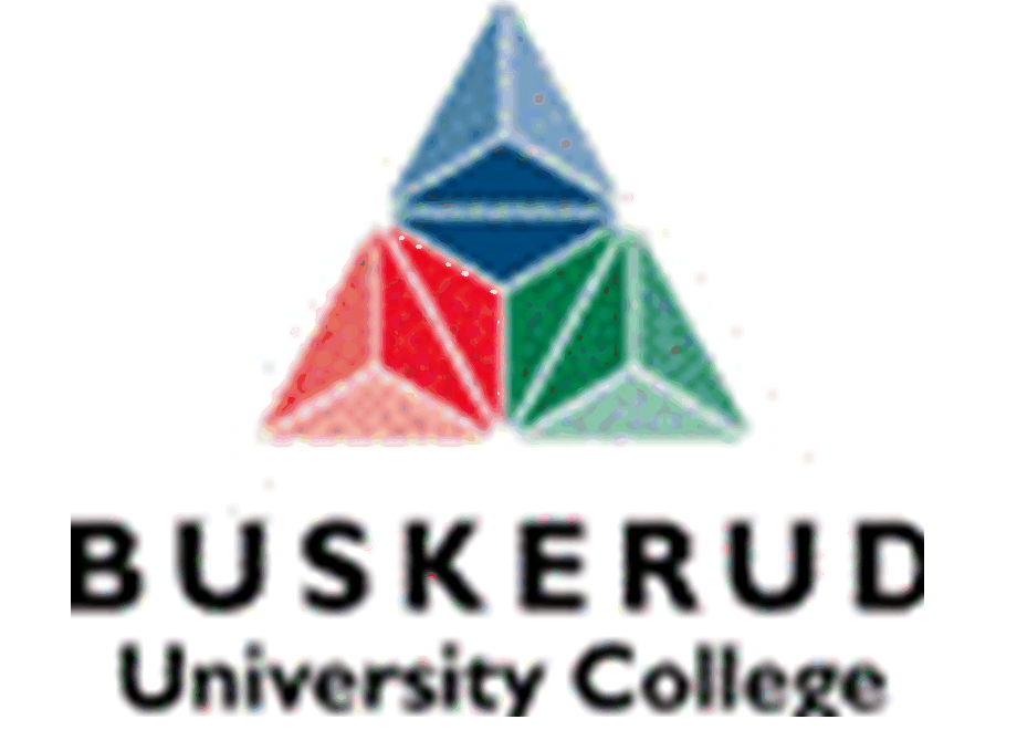 LogoBuskerud.fullsize.gif