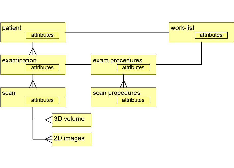 FVinformationModel.fullsize.gif