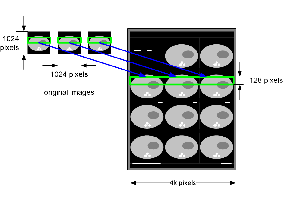MICVbanding.fullsize.gif